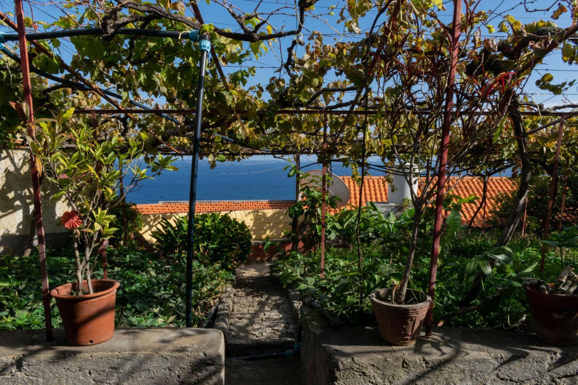 Casa Do Boto Vila Santa Cruz - Madeira Exterior foto